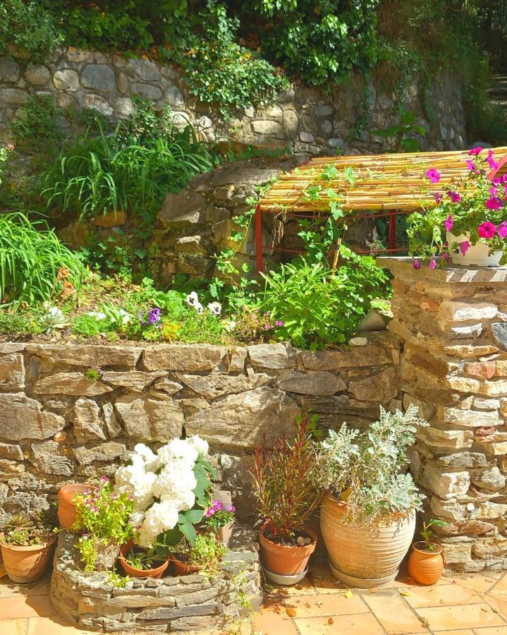 Reynès Maison Do Mi Sol מראה חיצוני תמונה