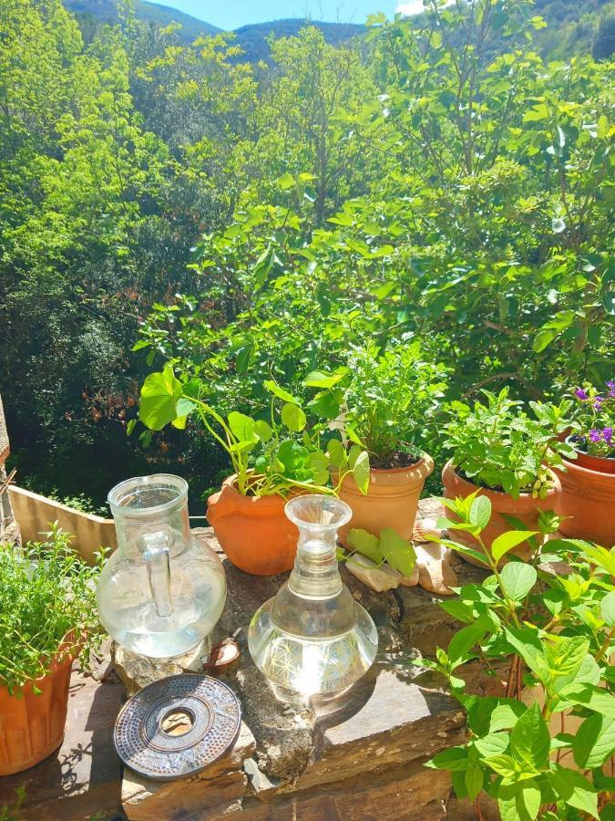 Reynès Maison Do Mi Sol מראה חיצוני תמונה